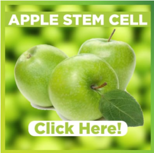 Apple Stem Cell