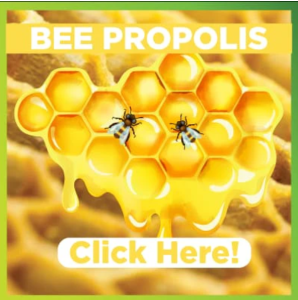 Bee Propolis - The Magic Stem Cells