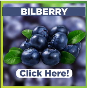 Bilberry