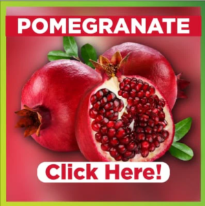 Pomegranate - The Magic Stem Cells