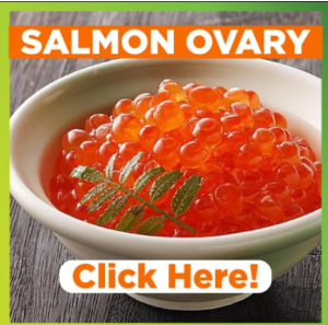 Salmon Ovary - The Magic Stem Cells