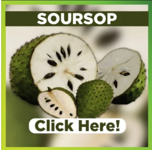 SourSop - The Magic Stem Cells